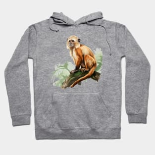 Squirrel Monkey Hoodie